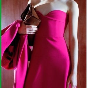 NWOT Bustier Midi Dress